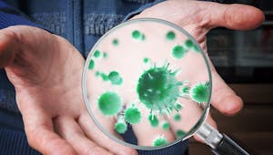 Le coronavirus pourrait survivre 9h sur la peau selon une étude japonaise