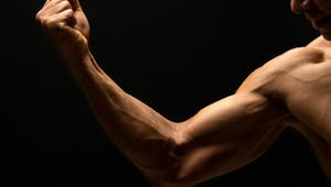 Une caractéristique anatomique du bras montre que l’Homme continue d’évoluer