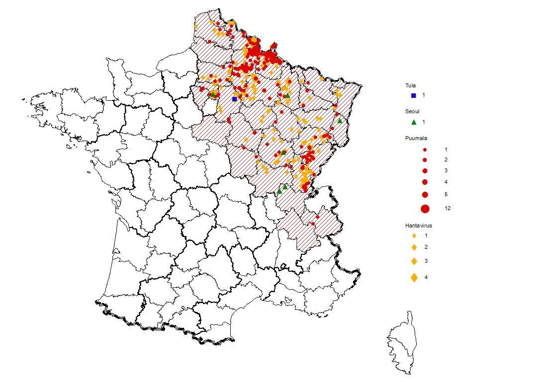 Hantavirus : causes, symptômes, prévention | Santé Magazine Hantavirus : causes, symptômes, prévention | Santé Magazine
