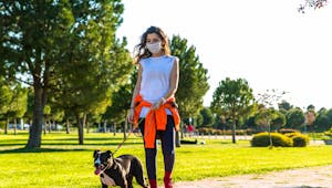 Covid-19 : promener son chien augmenterait le risque de contamination de 78% (étude)