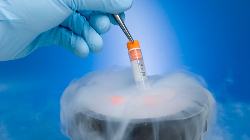 Un bébé issu d’un embryon congelé pendant 27 ans est né aux États-Unis