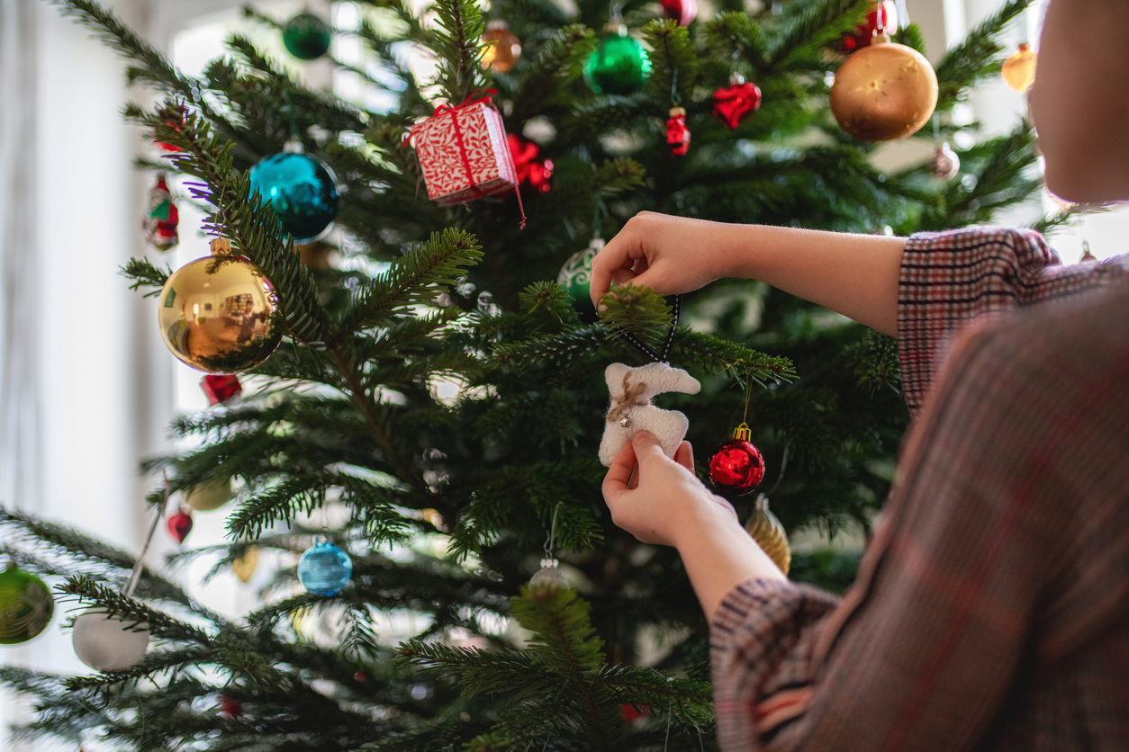 Allergie Au Sapin De Noel Qu Est Ce Que C Est Que Faire Sante Magazine