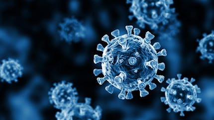 Que sait-on de la mutation du coronavirus, détectée au Royaume-Uni ? 