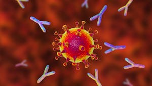 Covid-19 : le rôle clé des auto-anticorps dans la survenue de formes graves