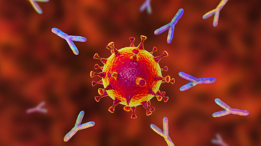 Covid-19 : le rôle des auto-anticorps dans la survenue de formes graves