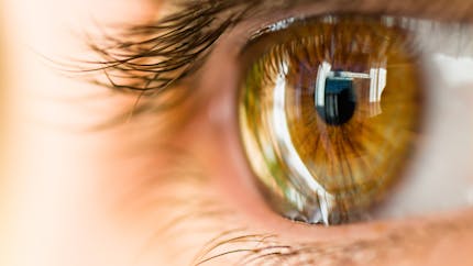 Sans aucune greffe, un homme recouvre la vue grâce à une cornée artificielle