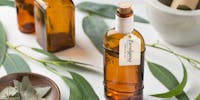 L'huile essentielle d'eucalyptus citronné, bonne pour les douleurs articulaires