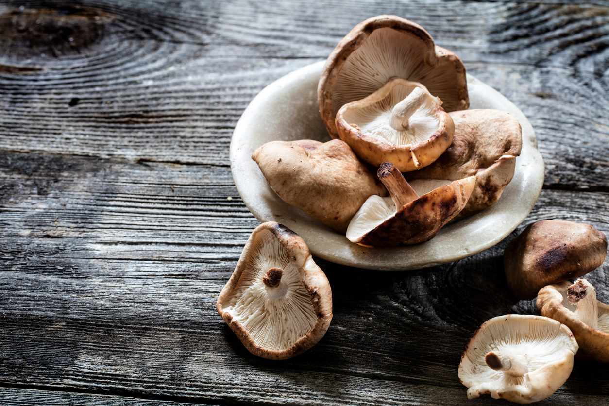 Champignons Shiitake : cuisez-les bien avant de les consommer, rappellent l’Anses et la DGCCRF