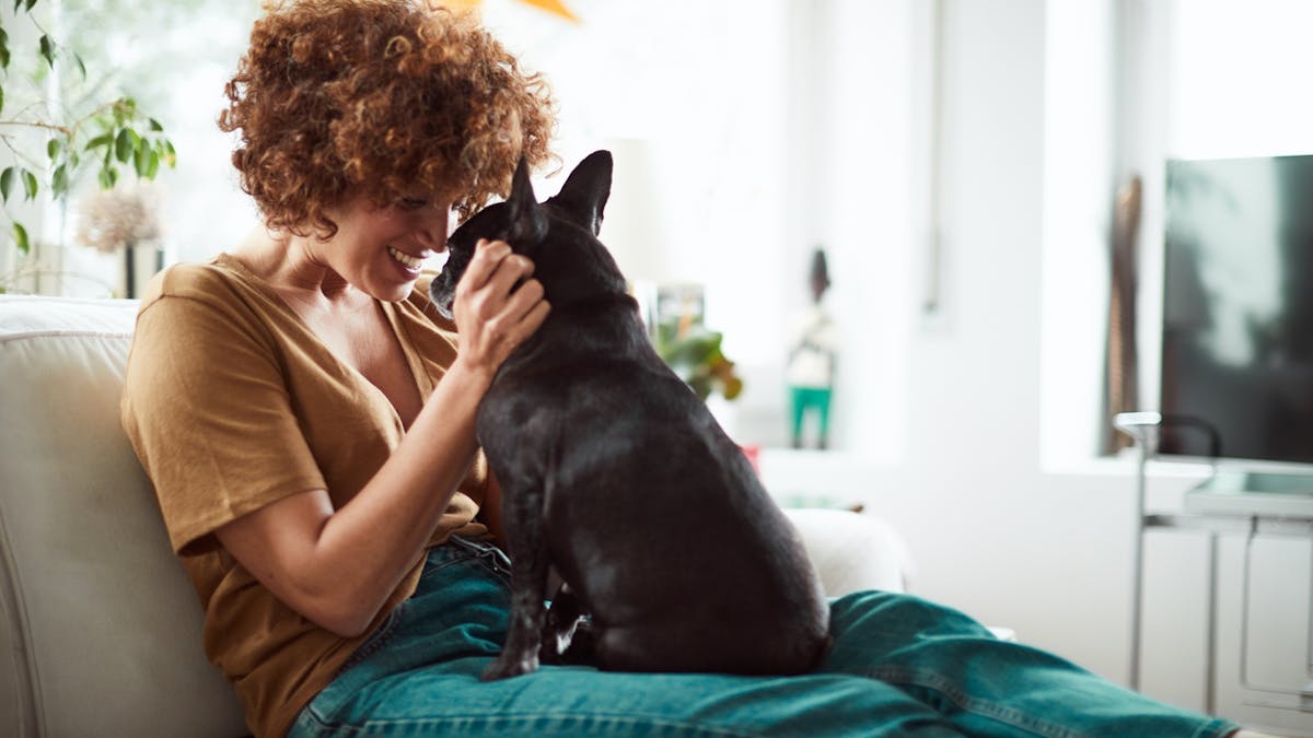 Comment Entrer En Contact Avec Un Animal Sante Magazine Comment Entrer En Contact Avec Un Animal Sante Magazine