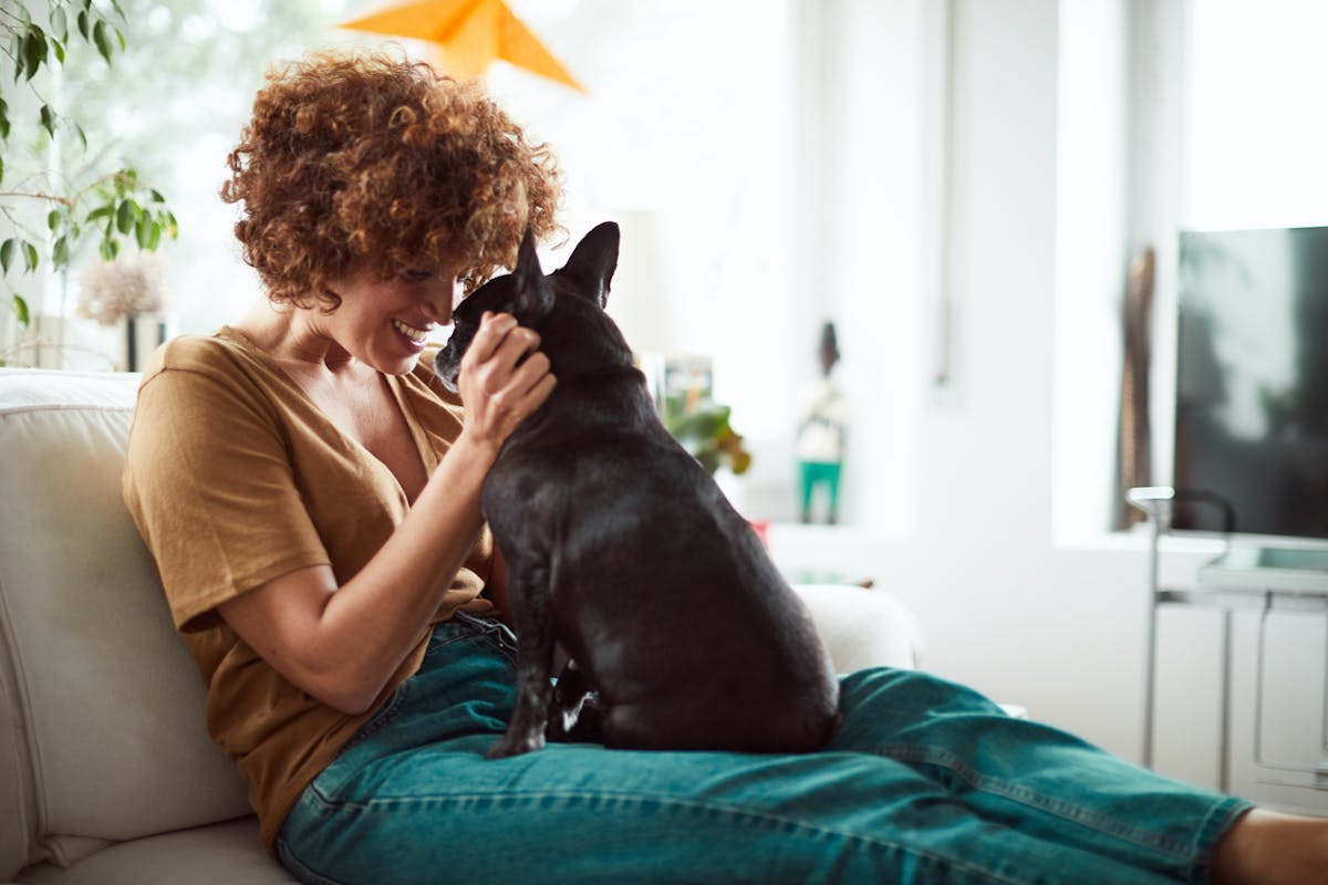 Comment entrer en contact avec un animal ? | Santé Magazine