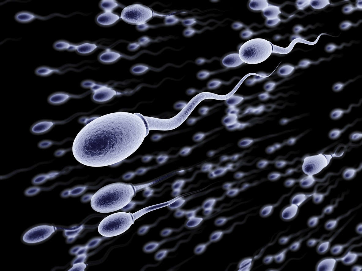 Sperme composition, aspect, rôle, bienfaits santé Santé Magazine image