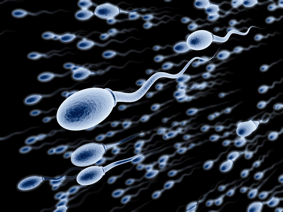 Sperme : composition, aspect, rôle, bienfaits santé | Santé Magazine