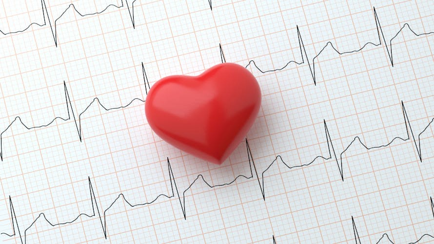 L’intelligence artificielle au secours de l’insuffisance cardiaque ? 