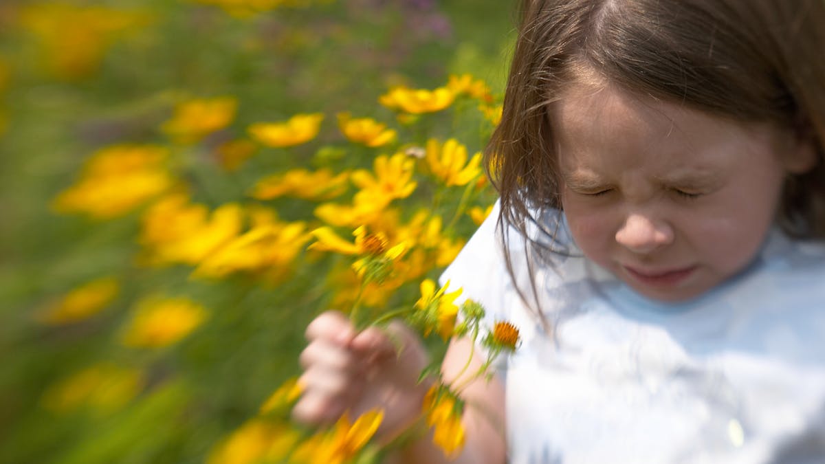 Allergies Respiratoires Chez Le Bebe Et L Enfant Causes Et Traitements Sante Magazine Allergies Respiratoires Chez Le Bebe Et L Enfant Causes Et Traitements Sante Magazine