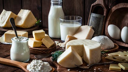 Selon une étude, les produits laitiers favorisent l'apparition de certains cancers