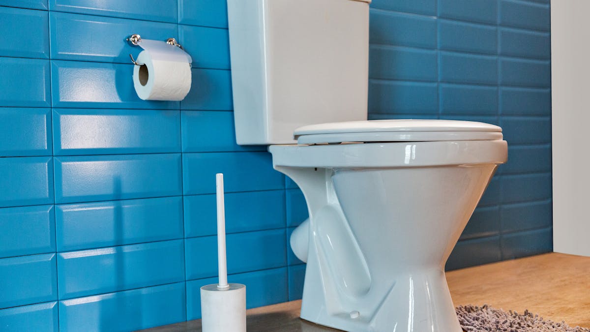 Un large éventail de bactéries intestinales, cutanées et du sol et de virus respiratoires ont été identifiés dans les toilettes publiques.