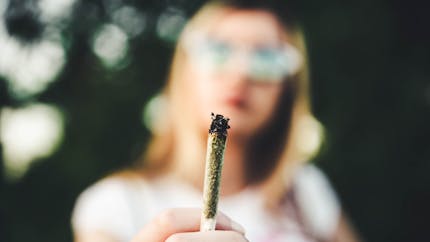 Le cannabis reste la drogue illicite la plus consommée en France, selon Santé Publique France