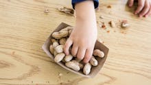 Allergie aux cacahuètes : une nouvelle piste prometteuse