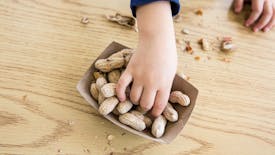 Allergie aux cacahuètes : une nouvelle piste prometteuse