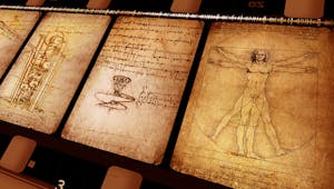 Anatomie féminine : ces choses que Léonard de Vinci n’a pas bien observées si l’on en croit ses croquis