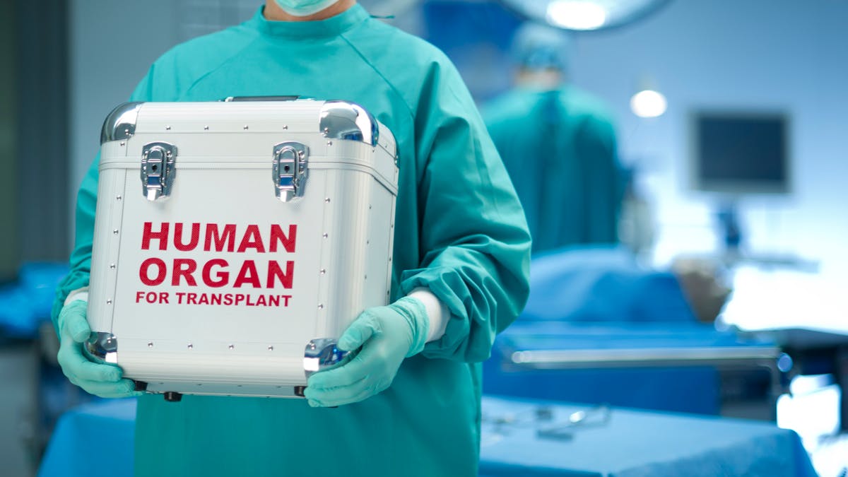 Transplantation d'organes