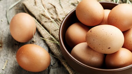 Allergie à l’œuf chez l'enfant : comment vivre avec ?