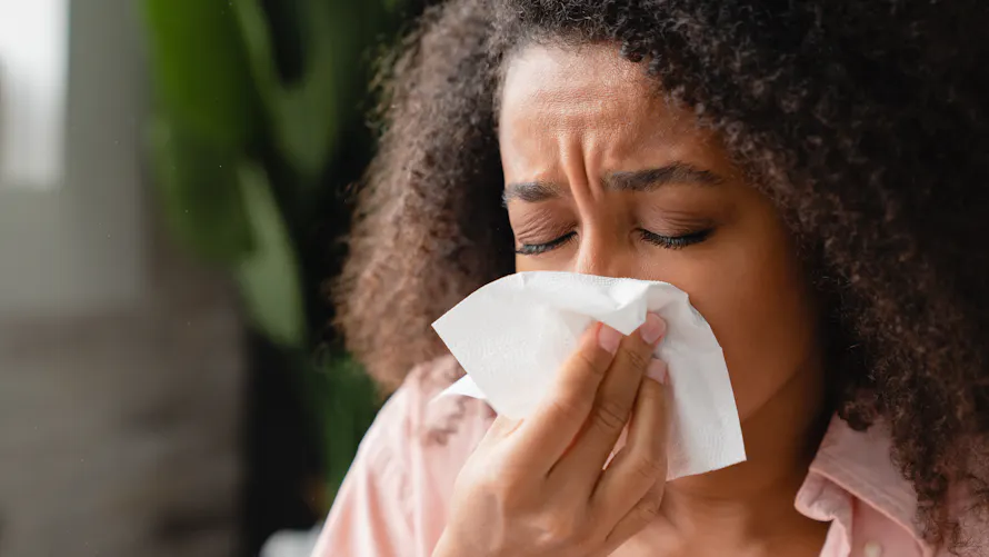 Nez qui gratte, ternuements, mal de gorge : rhume ou allergie ? | Sant Magazine Nez qui gratte, ternuements, mal de gorge : rhume ou allergie ? | Sant Magazine