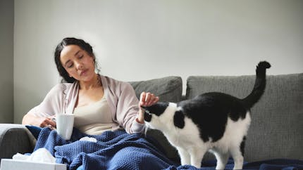 Pourquoi est-on allergique aux chats ? Quelles solutions ?