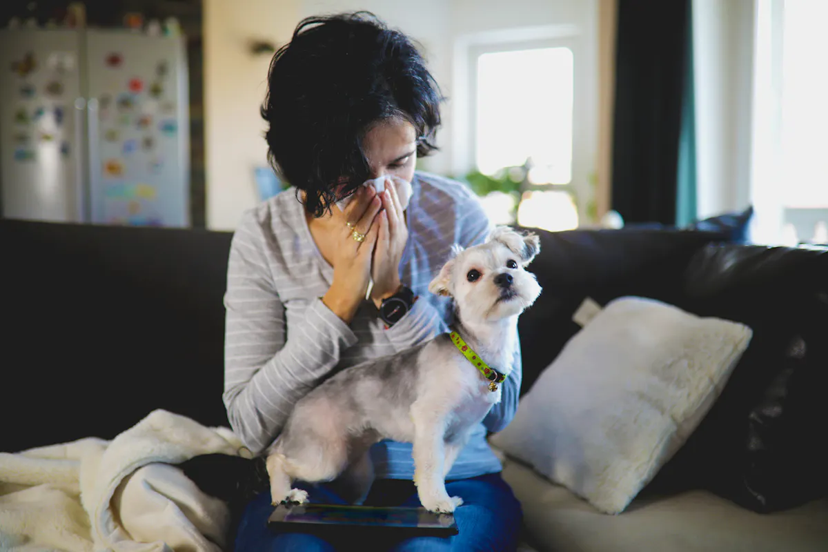 Allergies aux chiens : reconnaître les signes et agir en douceur