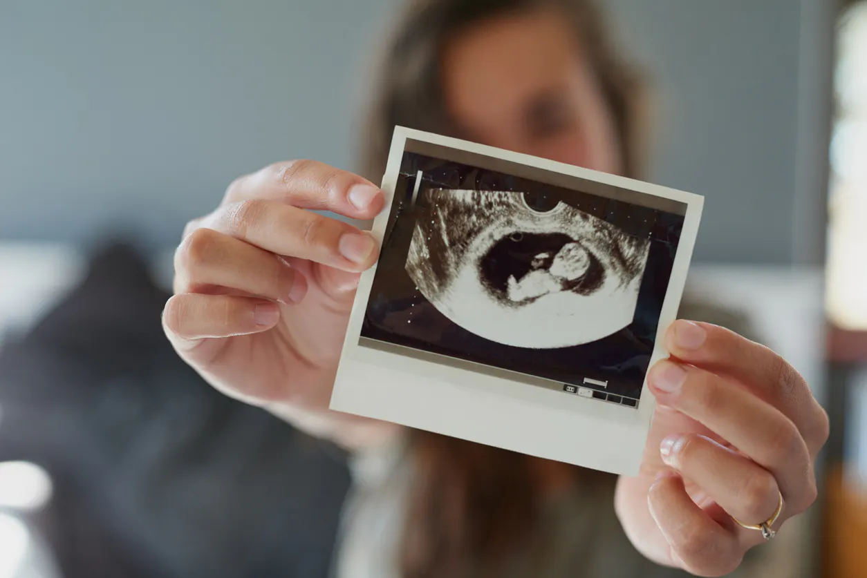 Fetal Development Milestones During Pregnancy