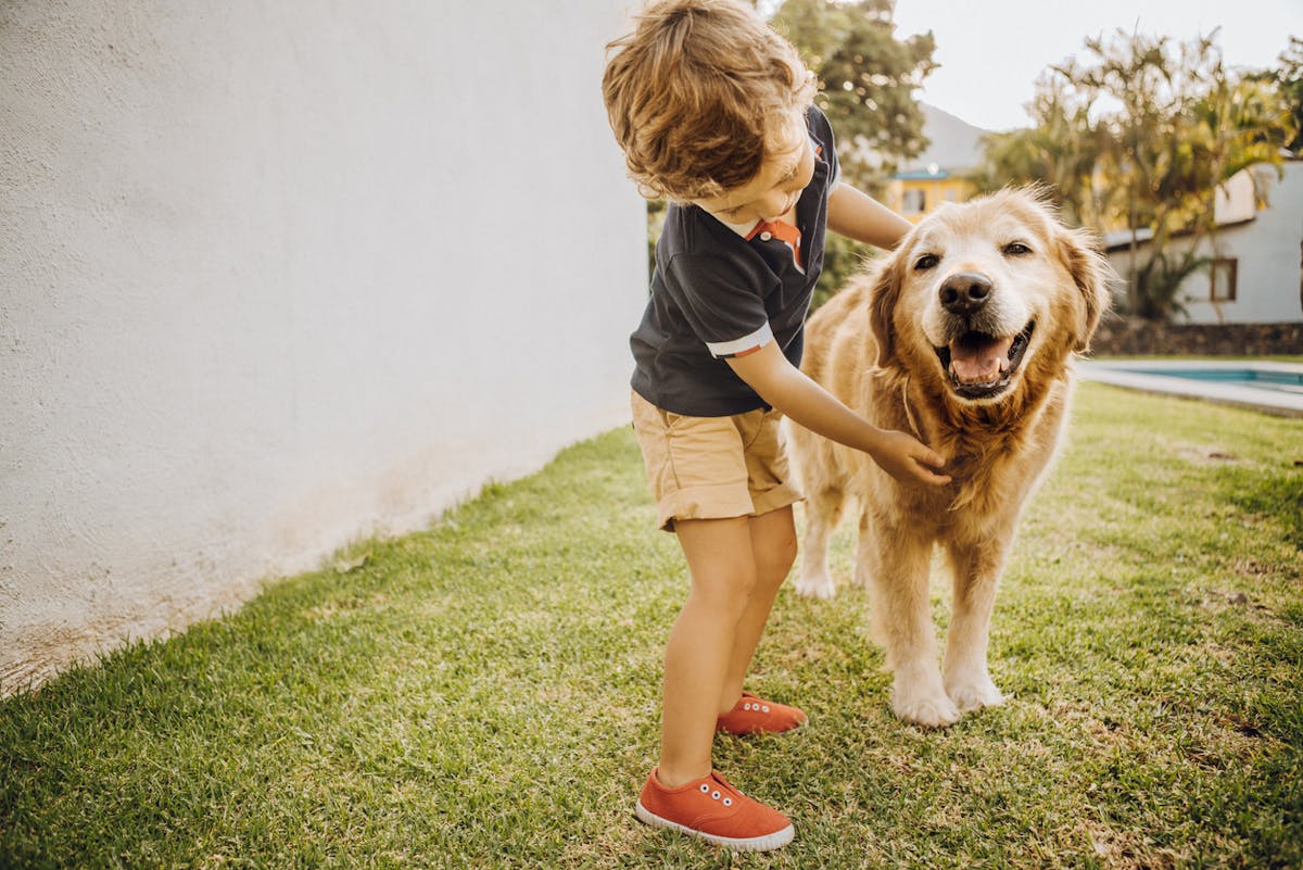 Morsure de chien : comment réagir ? | Santé Magazine