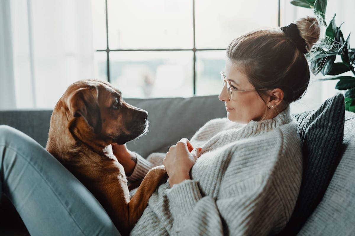 Même la gestion des animaux domestiques pèse sur la charge mentale des  femmes | Santé Magazine