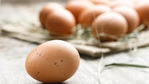 Bienfaits de l'œuf : une mine de protéines pour la santé