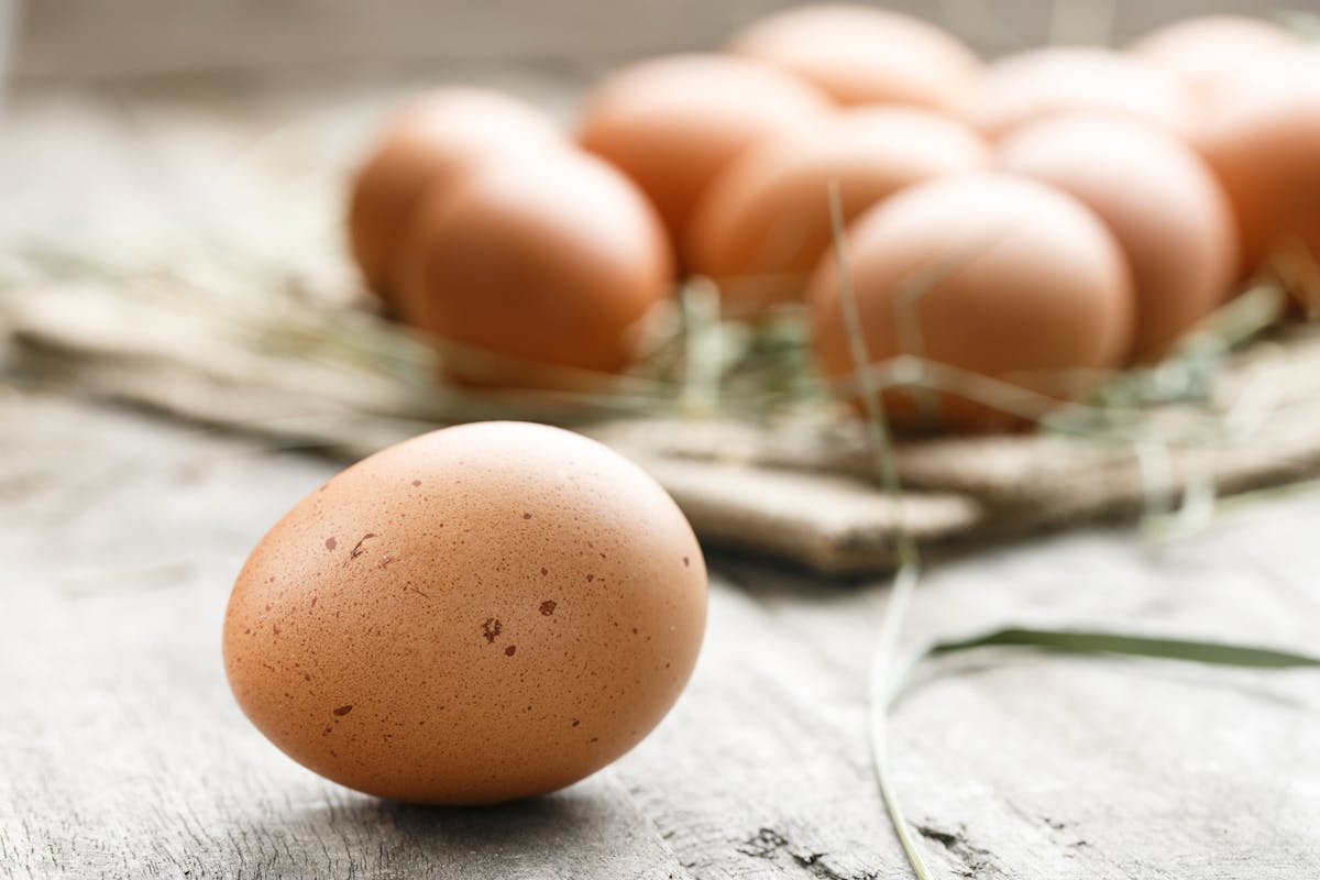 Les bienfaits des œufs - Société gastro-intestinale
