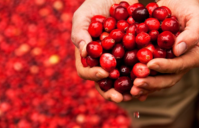 Le jus de Cranberry est-il efficace contre l'hypertension