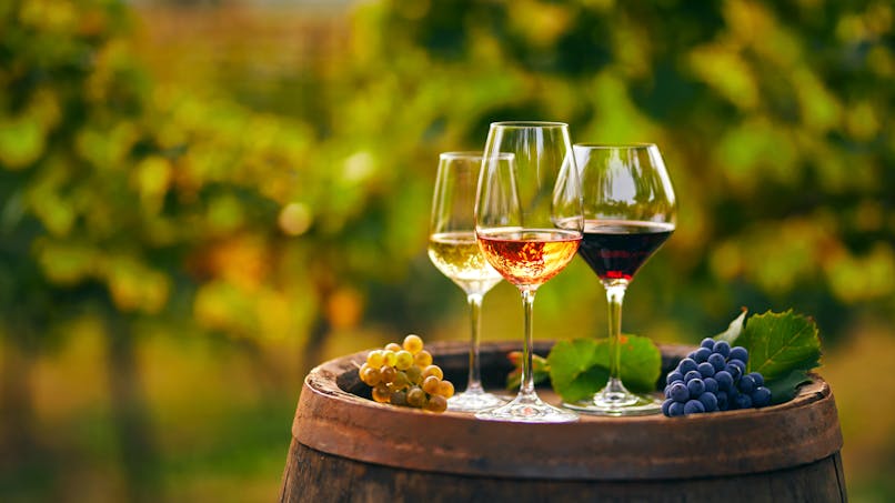 Contrairement aux idées reçues, la couleur du vin ne dépend pas toujours de la couleur des raisins récoltées.