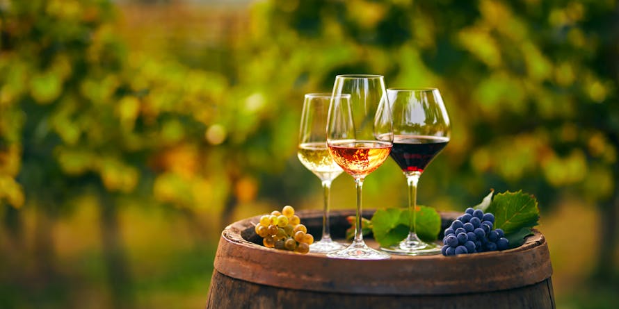 Quelle différence entre vin blanc, vin rosé et vin rouge ?