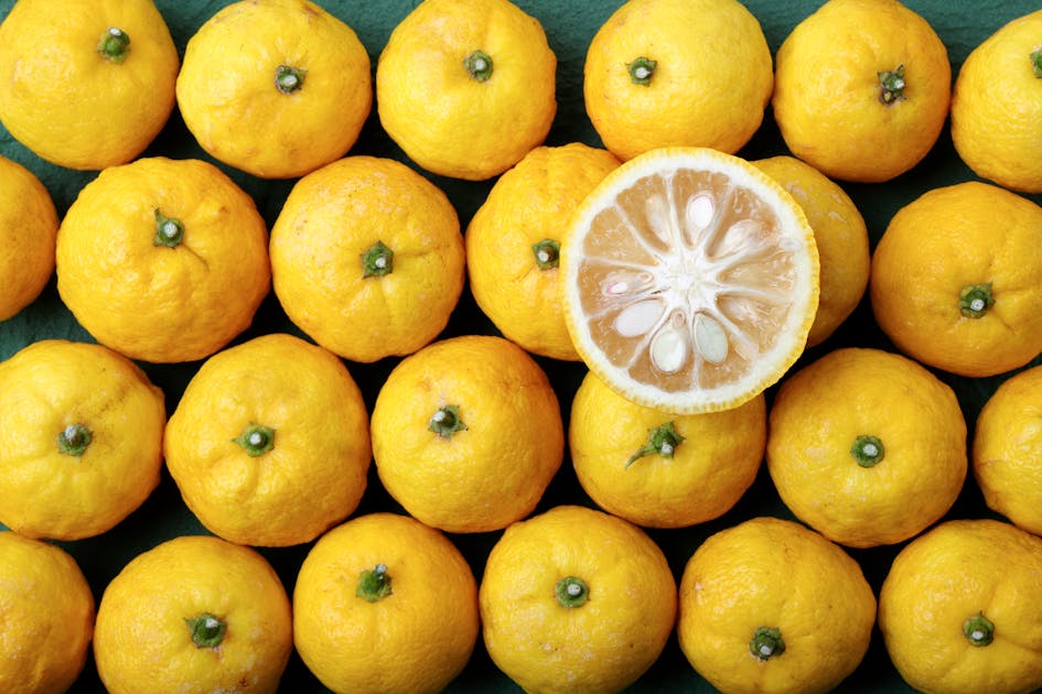 Yuzu Un Petit Agrume Aux Nombreux Bienfaits Sant Magazine yuzu-un-petit-agrume-aux-nombreux-bienfaits-sant-magazine