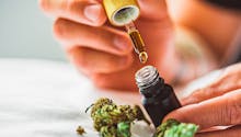 Huile de cannabis (CBD) : quels usages, quels bienfaits ?