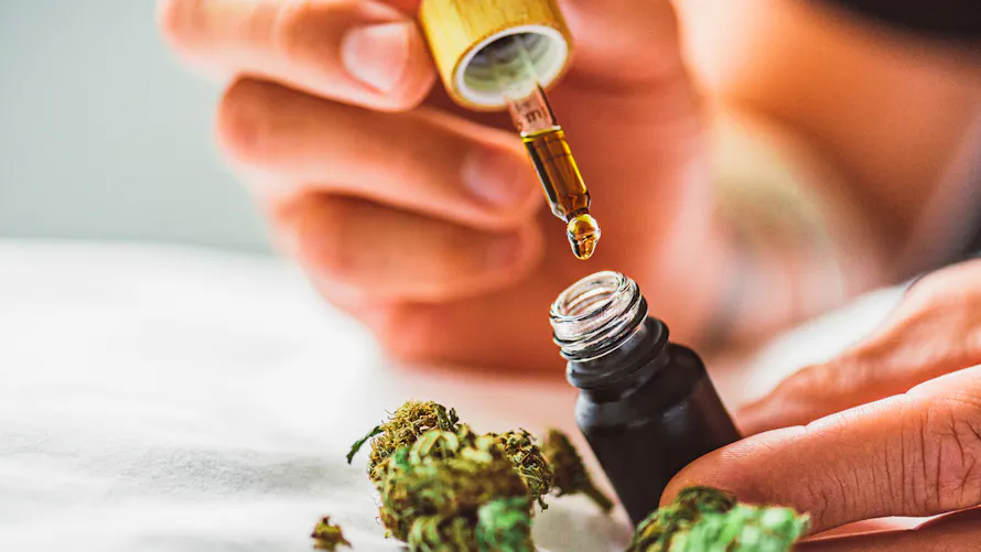 Huile de cannabis (CBD) : quels usages, quels bienfaits ? | Sant Magazine Huile de cannabis (CBD) : quels usages, quels bienfaits ? | Sant Magazine