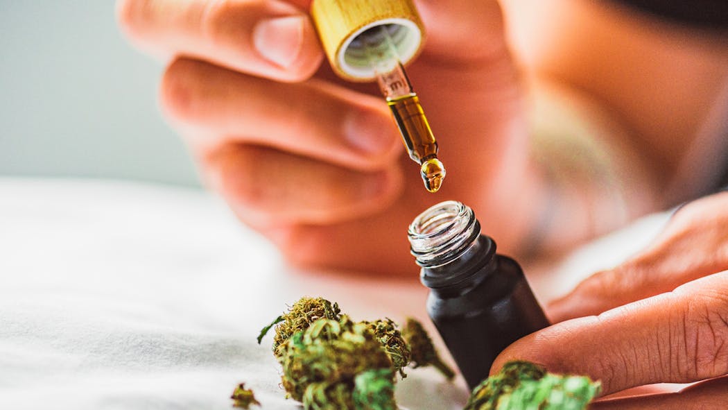 Huile de cannabis (CBD) : quels usages, quels bienfaits ?