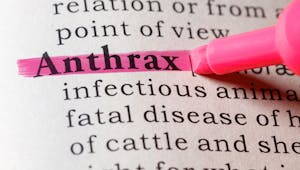 Anthrax : comment soigner cette infection cutanée, rare mais grave
