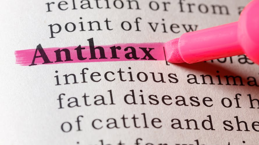 Anthrax, définition, malasie infectieuse