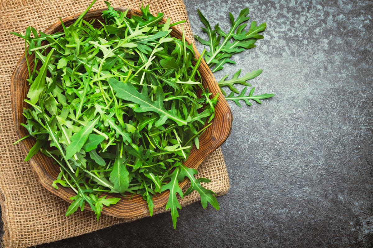 Roquette : bienfaits, préparation, valeur nutritive