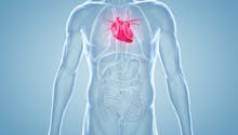 Insuffisance cardiaque : quels signes , quelle prise en charge ?