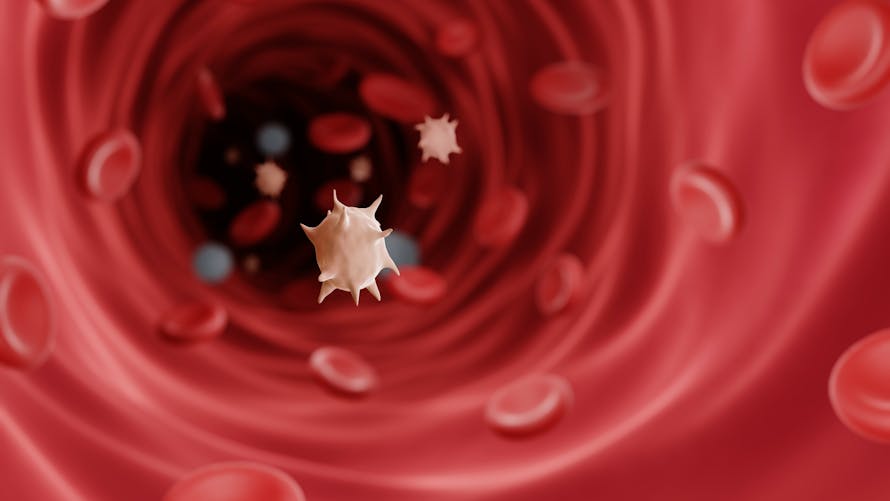Thrombopénie, baisse des plaquettes sanguines