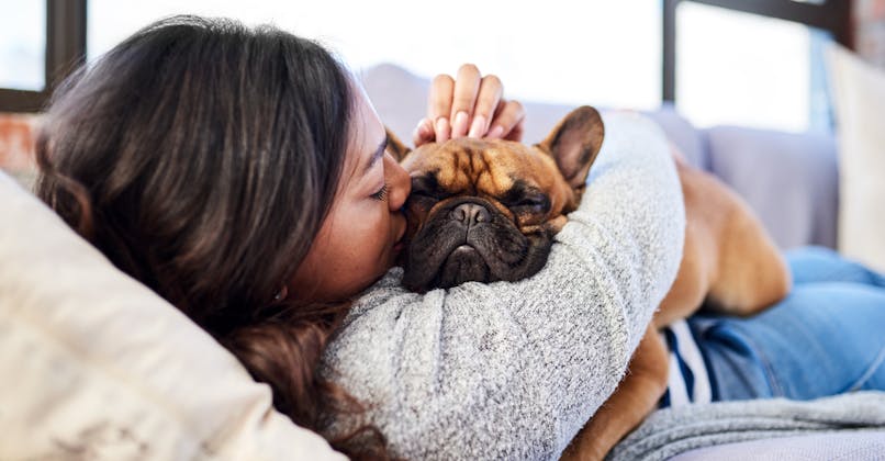 Les chiens sont capables de sentir quand les humains sont stressés ou tristes, en détectant un changement chimique dans l'haleine et la sueur.