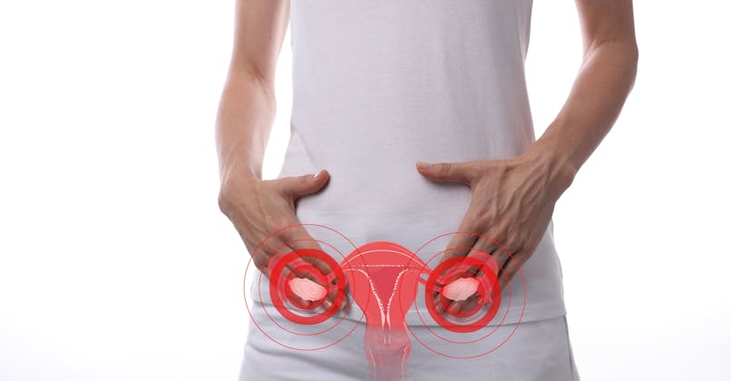 syndrome ovaires polykystiques (SPOK), femme et système reproducteurts