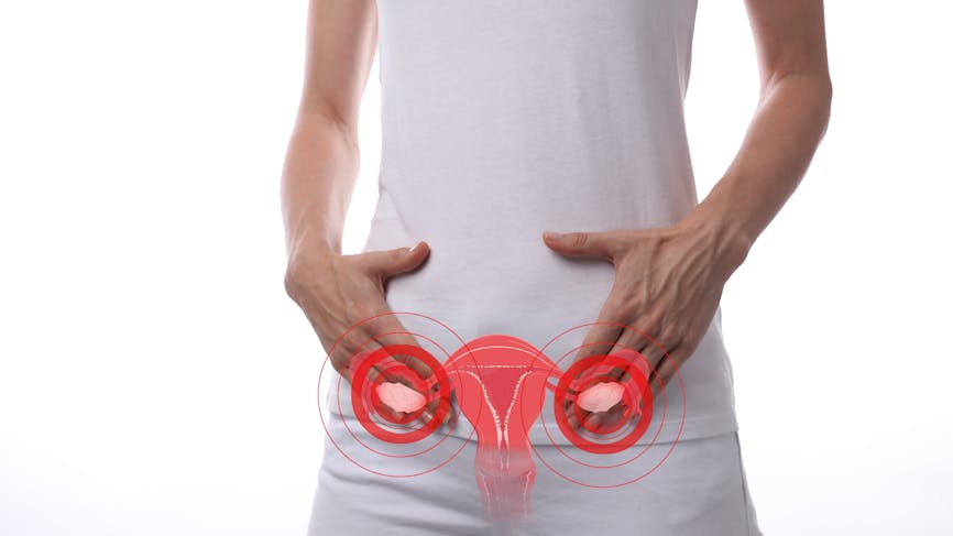 syndrome ovaires polykystiques (SPOK), femme et système reproducteurts