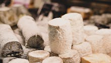 Des fromages aux tiques : l’Anses fait le point sur l’encéphalite à tiques